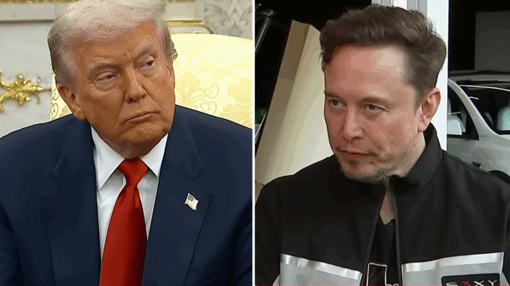 Donald Trump Elon Musk